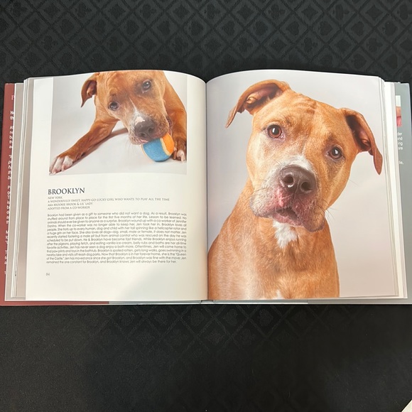 Pit Bull Mug & Book: Pit Bulls & Pit Bill Type Dogs by Melissa McDaniel - Picture 6 of 16